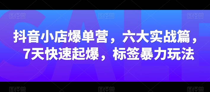 抖音小店爆单营，六大实战篇，7天快速起爆，标签暴力玩法-资源云