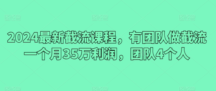 2024最新截流课程，有团队做截流一个月35万利润，团队4个人-资源云