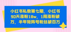 小红书私教第七期,小红书90天涨粉18w,1周涨粉破万,半年矩阵号粉丝破百万-资源云