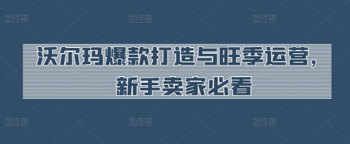 沃尔玛爆款打造与旺季运营，新手卖家必看-资源云