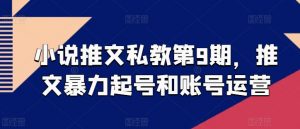 小说推文私教第9期,推文暴力起号和账号运营-资源云