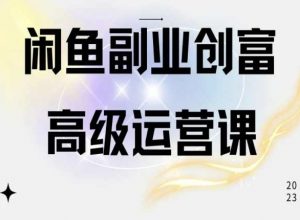 闲鱼电商运营高级课程,一部手机学会闲鱼开店赚钱-资源云