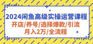 2024闲鱼高级实操运营课程:开店/养号/选择爆款/引流/月入2万/全流程-资源云