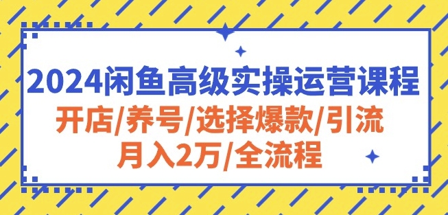 2024闲鱼高级实操运营课程：开店/养号/选择爆款/引流/月入2万/全流程-资源云