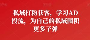 私域打粉获客,学习AD投流,为自己的私域囤积更多子弹-资源云