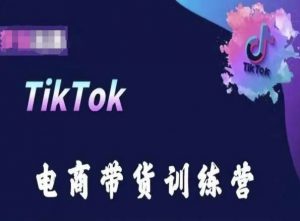 TikTok电商带货训练营，跟随时代潮流，跨境掘金-资源云