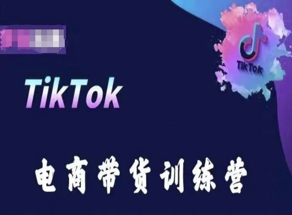 TikTok电商带货训练营，跟随时代潮流，跨境掘金-资源云