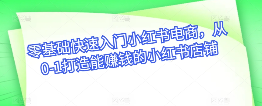 零基础快速入门小红书电商，从0-1打造能赚钱的小红书店铺-资源云