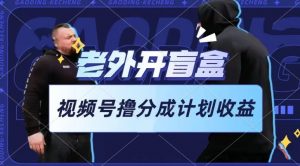 老外开盲盒视频，撸视频号分成计划收益，每天只需一小时，新手小白轻松上手【揭秘】-资源云