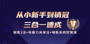 从小新手到销冠 三合一速成:销售3法+非暴力关单法+销售系统挖需课 (27节)-资源云