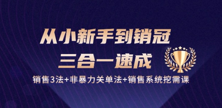 从小新手到销冠 三合一速成：销售3法+非暴力关单法+销售系统挖需课 (27节)-资源云