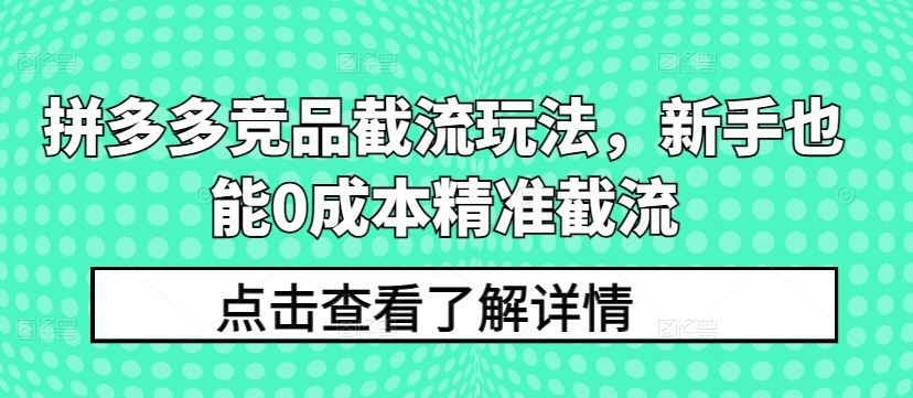 拼多多竞品截流玩法，新手也能0成本精准截流-资源云