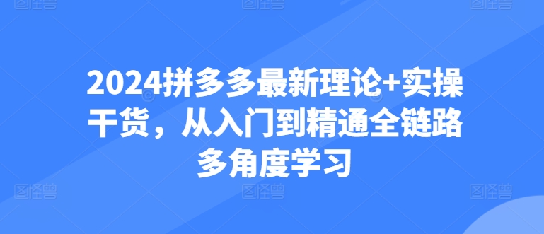 2024拼多多最新理论+实操干货，从入门到精通全链路多角度学习-资源云