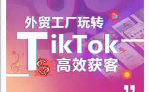 外贸工厂玩转TikTok高效获客,多种引流方式与账号定位技巧,拆解爆款短视频打造成功案例-资源云