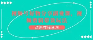 视频号好物分享副业课,视频剪辑带货玩法-资源云