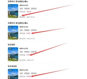 磁力聚星游戏副业陪跑训练营1.0,长期稳定项目,有人一周干了1K+-资源云