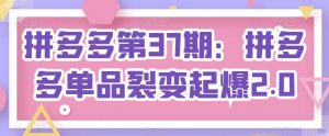 拼多多第37期:拼多多单品裂变起爆2.0-资源云