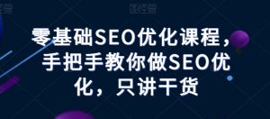 零基础SEO优化课程,手把手教你做SEO优化,只讲干货-资源云