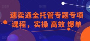 速卖通全托管专题专项课程,实操 高效 爆单-资源云
