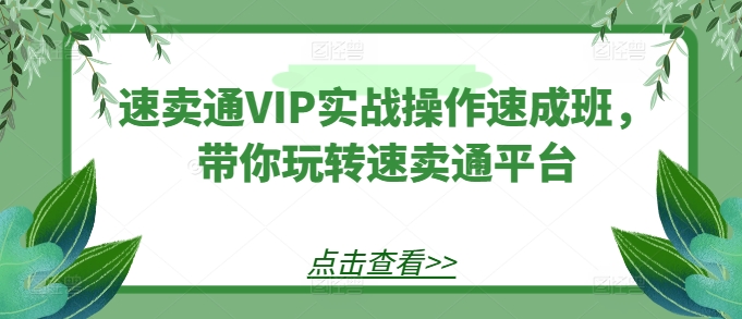 速卖通VIP实战操作速成班，带你玩转速卖通平台-资源云