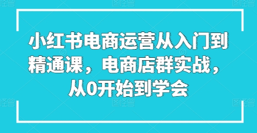 小红书电商运营从入门到精通课，电商店群实战，从0开始到学会-资源云