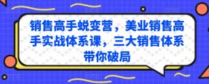销售高手蜕变营,美业销售高手实战体系课,三大销售体系带你破局-资源云