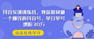抖音实训训练营,教你如何做一个赚钱的抖音号,单日单号增粉30万-资源云