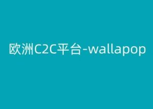 欧洲C2C平台-wallapop-kim跨境电商教程-资源云