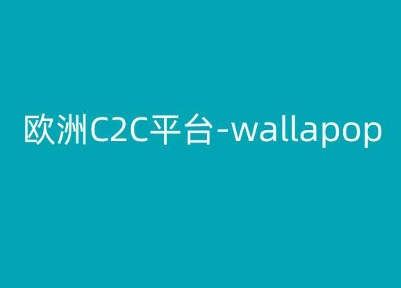 欧洲C2C平台-wallapop-kim跨境电商教程-资源云