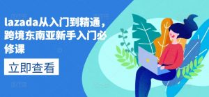 lazada从入门到精通,跨境东南亚新手入门必修课-资源云