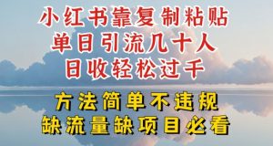 小红书靠复制粘贴单日引流几十人目收轻松过千,方法简单不违规【揭秘】-资源云