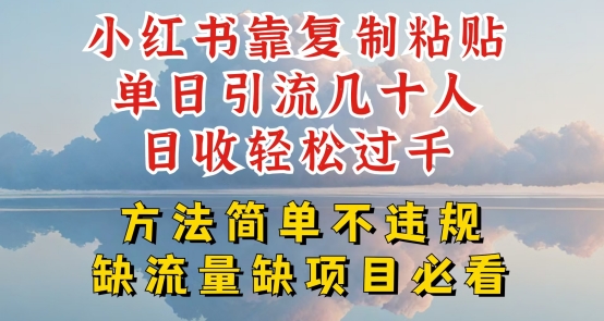 小红书靠复制粘贴单日引流几十人目收轻松过千，方法简单不违规【揭秘】-资源云