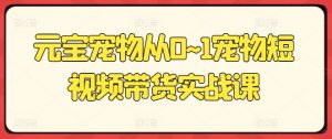元宝宠物从0~1宠物短视频带货实战课-资源云