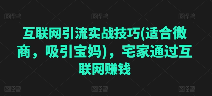 互联网引流实战技巧(适合微商，吸引宝妈)，宅家通过互联网赚钱-资源云