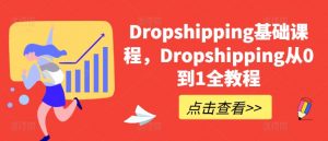 Dropshipping基础课程，Dropshipping从0到1全教程-资源云