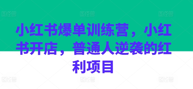 小红书爆单训练营，小红书开店，普通人逆袭的红利项目-资源云
