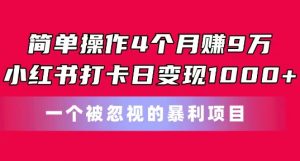 简单操作4个月赚9w，小红书打卡日变现1k，一个被忽视的暴力项目【揭秘】-资源云