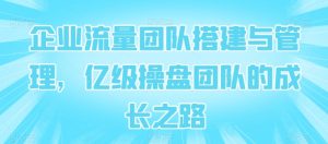 企业流量团队搭建与管理,亿级操盘团队的成长之路-资源云