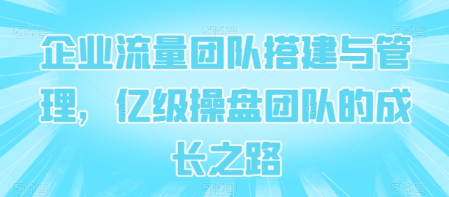 企业流量团队搭建与管理，亿级操盘团队的成长之路-资源云