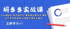拼多多实战课:万人团玩法/截流自然流/最新强付费打法/最新原价卡大促..-资源云