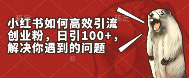 小红书如何高效引流创业粉，日引100+，解决你遇到的问题【揭秘】-资源云