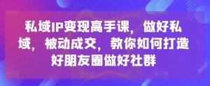 私域IP变现高手课,做好私域,被动成交,教你如何打造好朋友圈做好社群-资源云