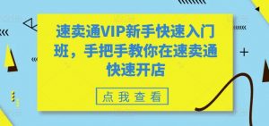 速卖通VIP新手快速入门班，手把手教你在速卖通快速开店-资源云
