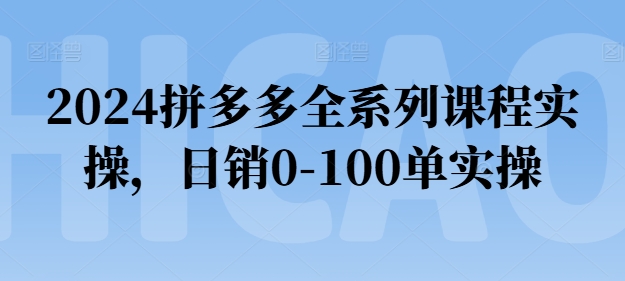 2024拼多多全系列课程实操，日销0-100单实操【必看】-资源云