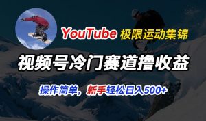 视频号冷门赛道撸收益,YouTube搬运极限运动集锦,暴力起号,操作简单流量高,轻松日入5张【揭秘】-资源云