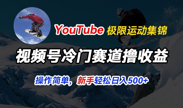 视频号冷门赛道撸收益，YouTube搬运极限运动集锦，暴力起号，操作简单流量高，轻松日入5张【揭秘】-资源云