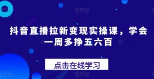 抖音直播拉新变现实操课，学会一周多挣五六百-资源云