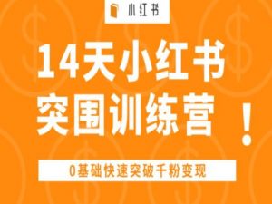 14天小红书突围训练营 ,0基础快速突破千粉变现-资源云
