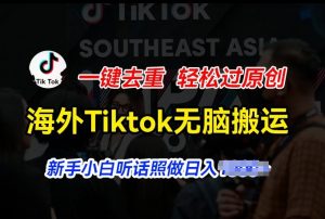 海外Tiktok短视频无脑搬运,一键去重轻松过原创,新手小白听话照做日入几张【揭秘】-资源云