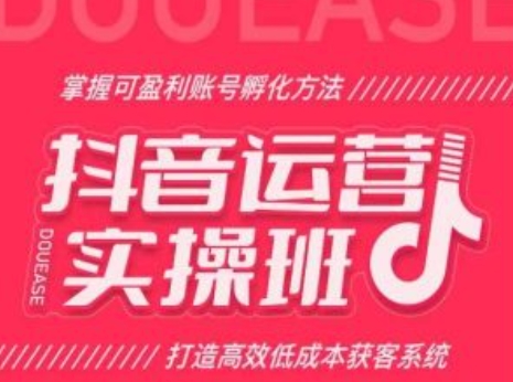 抖音运营实操班，掌握可盈利账号孵化方法，打造高效低成本获客系统-资源云